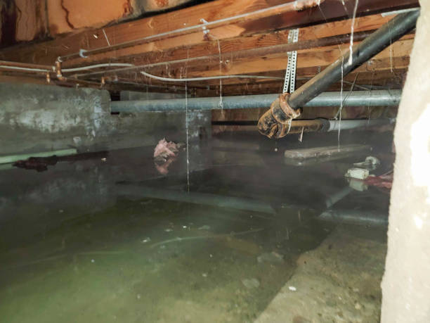 Best Local water damage restoration  in York Harbor, ME