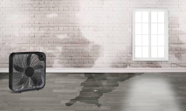 Reliable York Harbor, ME Water damage restoration Solutions