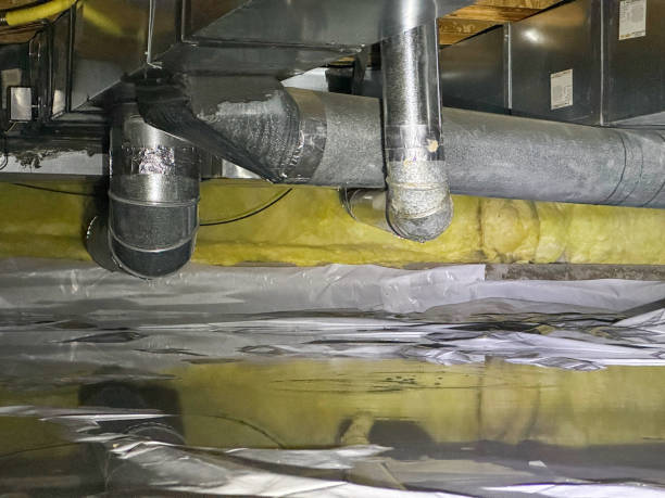Best Mold removal after water damage  in York Harbor, ME